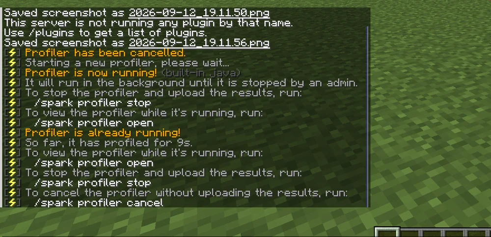 The profiler runs in the background; spark lists the commands to view, stop and cancel